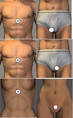 Screen Clipping,Screen Clipping