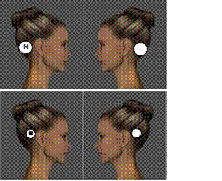 Screen Clipping,Screen Clipping